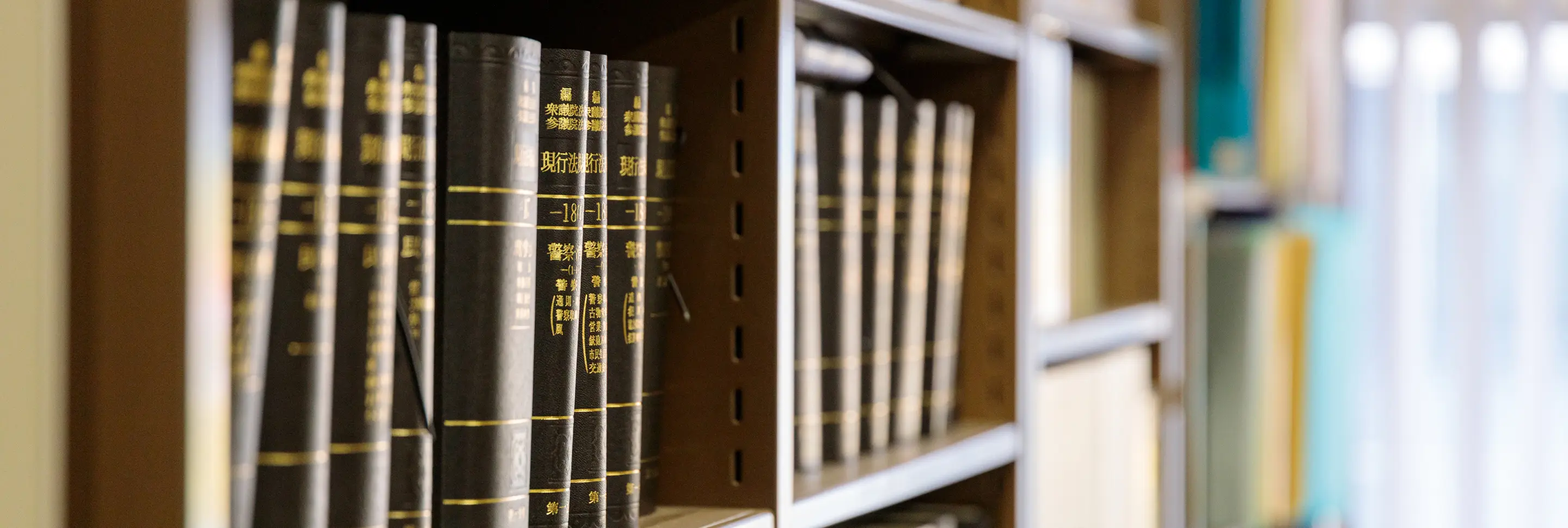 取扱業務の全体図：顧問弁護士業務、紛争解決業務、法律相談業務などの関係を示す図